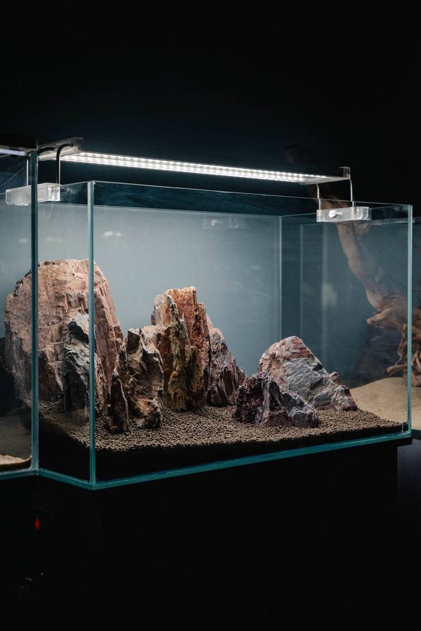 Custom rock hardscape composition